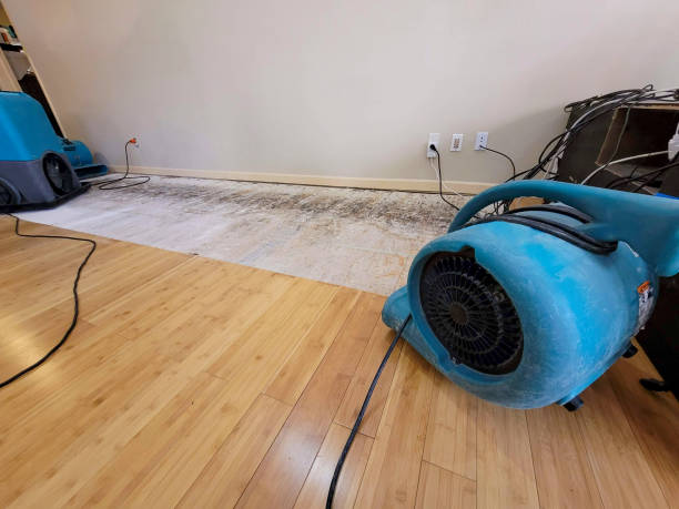 Professional Water Damage Repair technician working in Creston, OH
